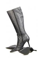 ������ Luciano Barachini