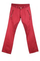 ������ Gazzarrini