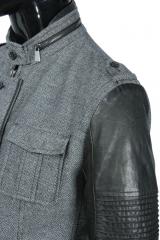 ������ Gazzarrini