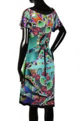 ������ Coccapani