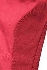 ������ Gazzarrini