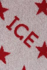 ��������� ICE Iceberg