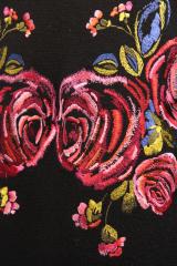 ������ Coccapani