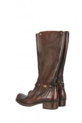 ������ EVEET