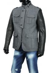 ������ Gazzarrini