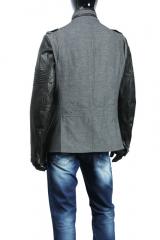 ������ Gazzarrini