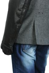 ������ Gazzarrini