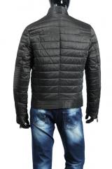 ������ Gazzarrini