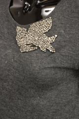 ������ P.A.R.O.S.H