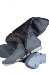 ������ PM