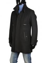 ������ Gazzarrini