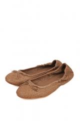 ������� Dragon