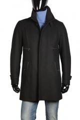 ������ Gazzarrini