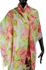 ������ (�����) Gan Marco Venturi