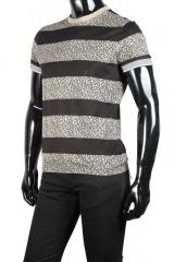 �������� Cavalli Class