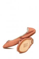 ������� Dragon