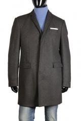 ������ Gazzarrini