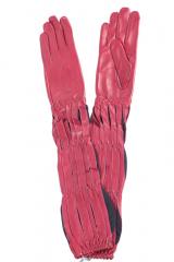 ��������