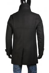 ������ Gazzarrini