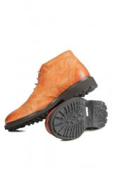 ������� Roberto Rossi