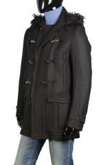 ������ Gazzarrini