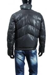 ������� Gazzarrini