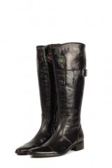 ������ Andrea Pagliarini