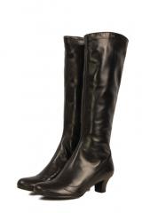 ������ Nebuloni