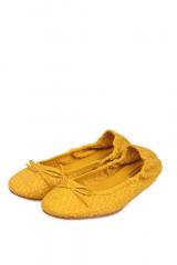 ������� Dragon