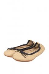 ������� Dragon