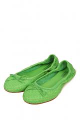 ������� Dragon