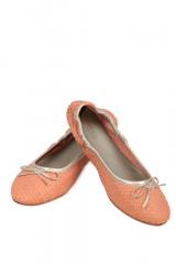 ������� Dragon