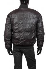 ������� Gazzarrini