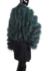 ������� Alysi