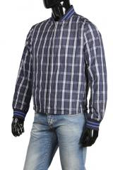 ������ Cerruti 1881