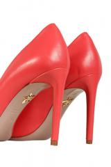 ����� Violavinca