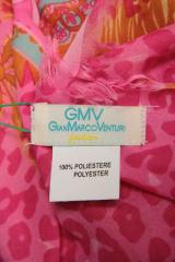 ������ (�����) Gan Marco Venturi